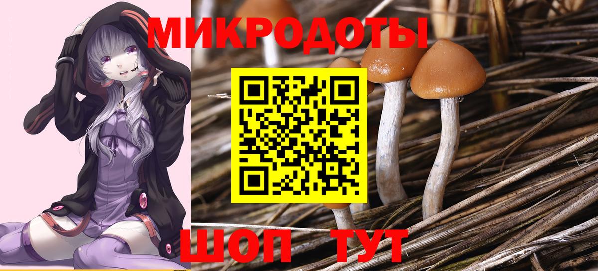 как найти   Псилоцибиновые грибы Psilocybe  Сунжа  Вход с VPN  Псилоцибиновые грибы Magic Shrooms 
