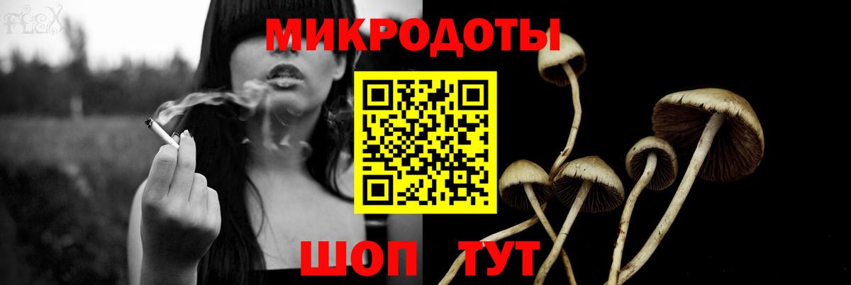 Псилоцибиновые грибы ЛСД Сунжа